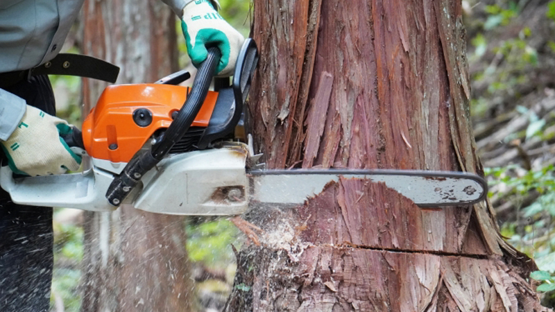 安全・確実に作業実施